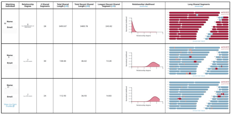 Table showing three matches with numbers and graphic details on degree, number of matching segments, length, long shared segments, and the relationship likelihood