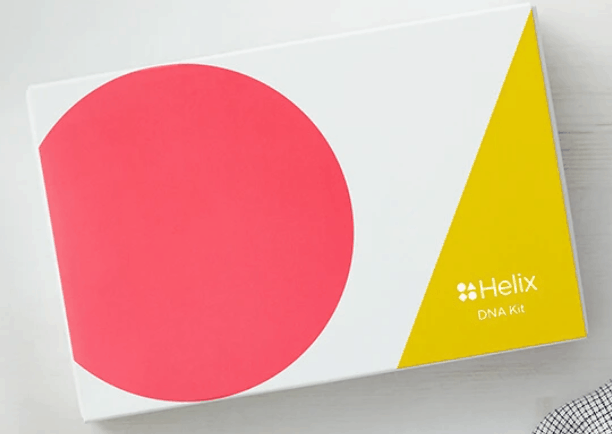 helix dna review summary