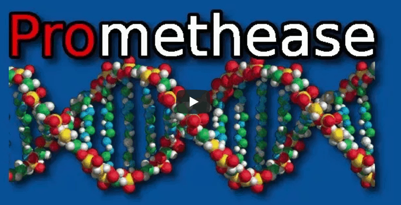 nebula genomics