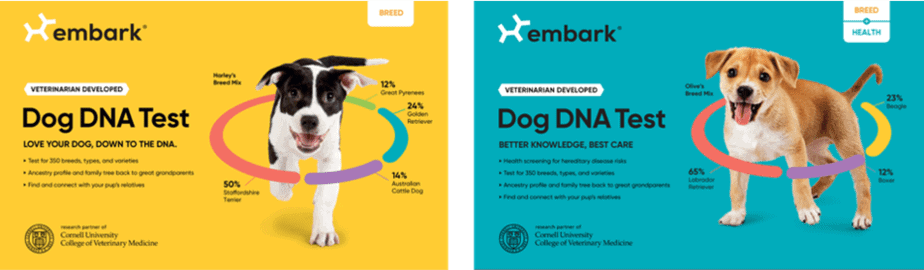 Embárcate en pruebas de ADN