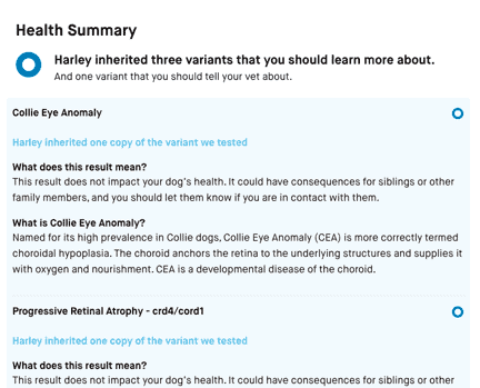 Example of a Health Summary