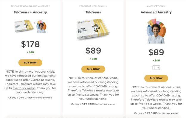 Breakdown of TeloYears cost