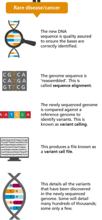 Flux de travail de séquençage d'exome complet