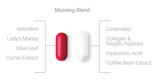 Ingrédients du mélange du matin SeroVital 