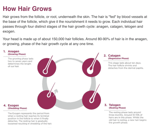 4 étapes de croissance des cheveux 