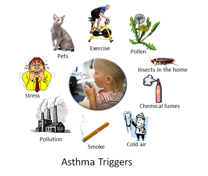 Asthma löst aus