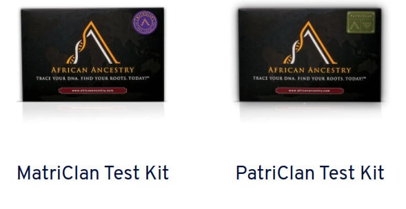 African Ancestry DNA testing kits