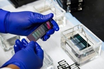 A technician performing DNA testing