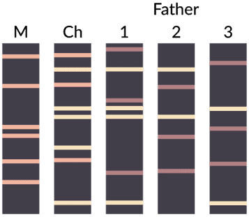 DNA paternity testing near me