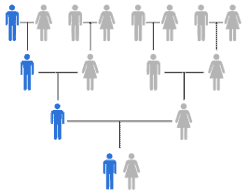 Y DNA lineage tree