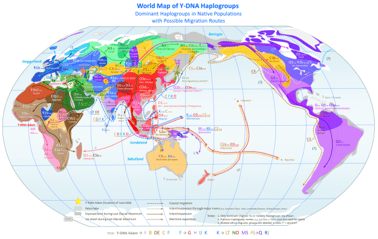 Haplogrupos Y DNA