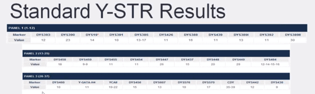 Example of Y DNA test results