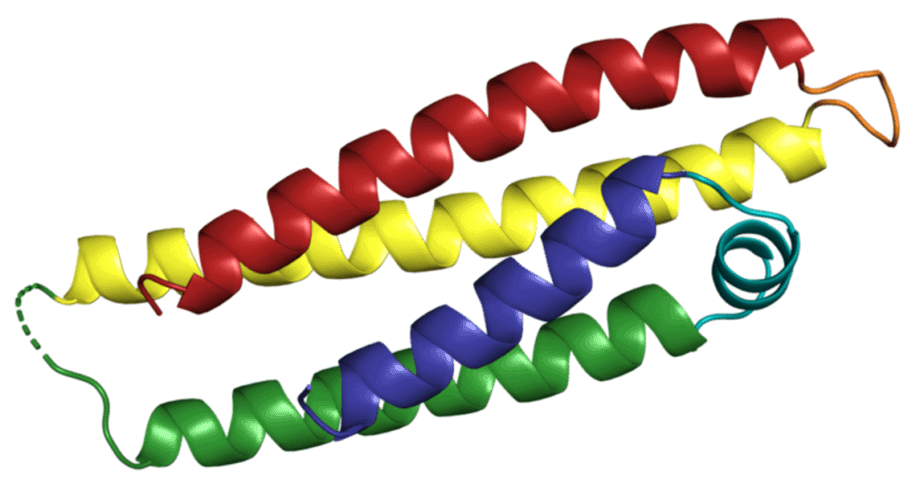 Is Alzheimers genetic? APOE may contribute to the genetics of Alzheimer's disease