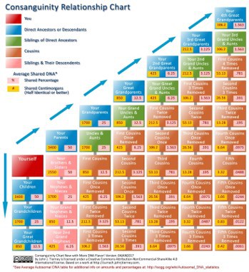 A centomorgan chart helps us understand DNA matching