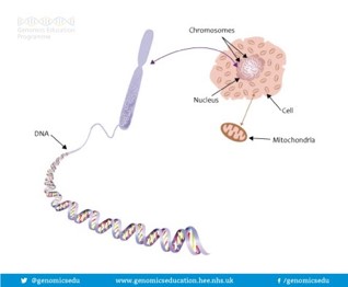 Different types of DNA tests take longer