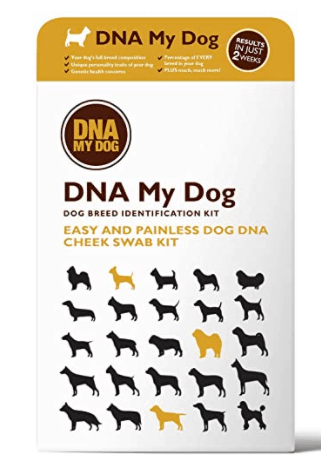 DNA My Dog is a cheap DNA testing option for dogs