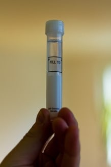 A saliva sample