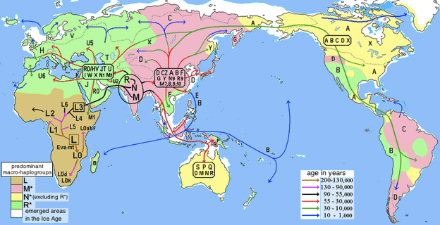 mtDNA Test - How Do You Trace Your Maternal Ancestry?