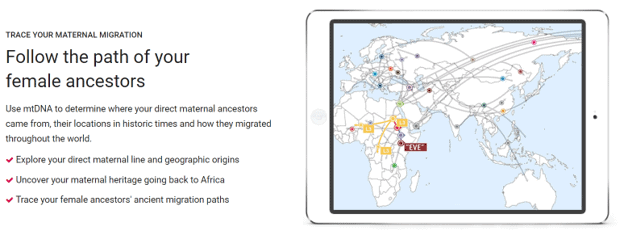 Tracing ancestors through mtDNA tests on FamilyTreeDNA