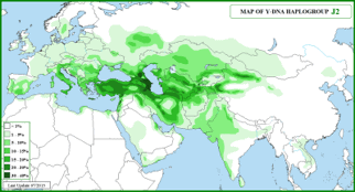 Haplogroups determined by Y chromosome testing