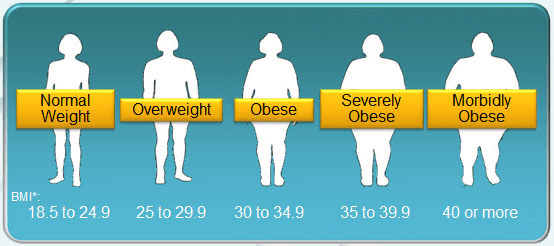 Standard obesity scale