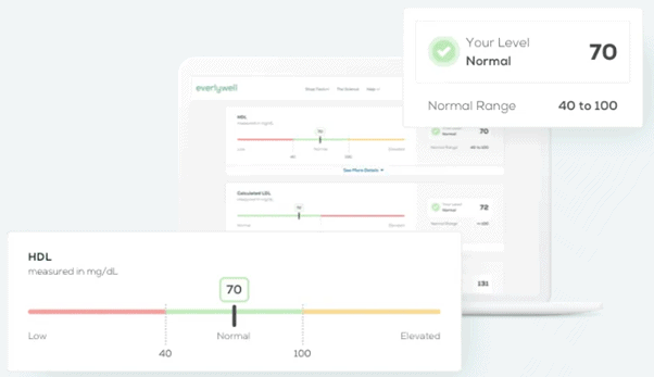 A sample report of an EverlyWell home cholesterol test
