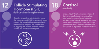 FSH and cortisol - two hormones in a mens health test