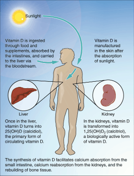 Formation of vitamin D