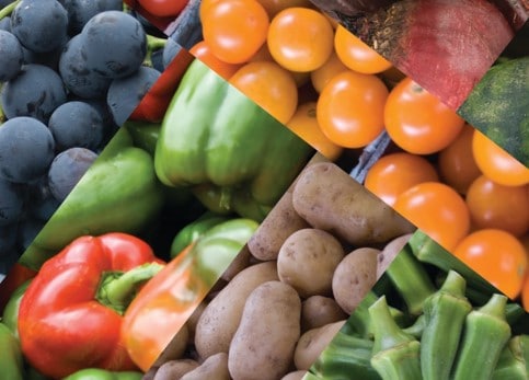 Fruits and vegetables
