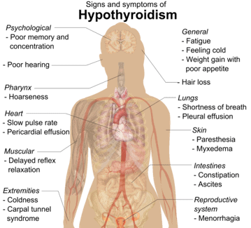 Symptoms of hypothyroidism