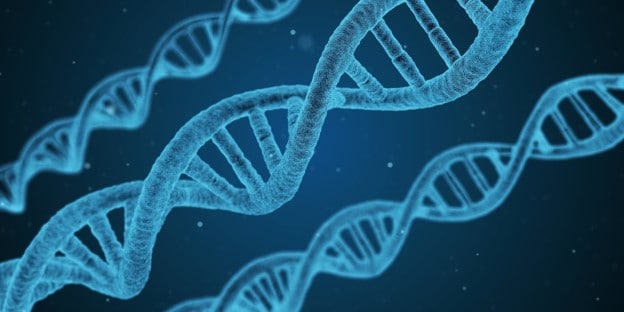 What does DNA stand for? The DNA double helix structure