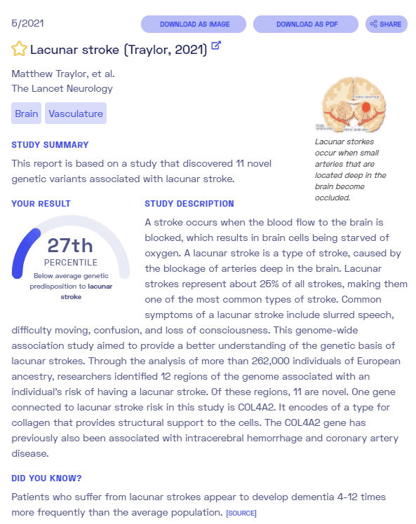 Sample report on lacunar strokes from Nebula Genomics. Check out our full article on strokes for more information.