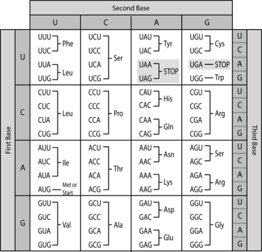 The genetic code