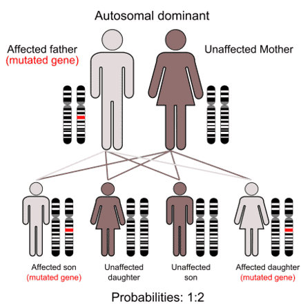 Is Tourettes Genetic? | Decode your DNA and learn about your risks!