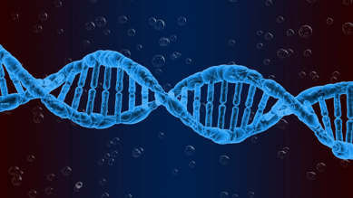 DNA double helix