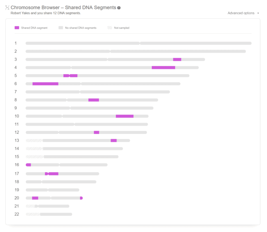 Navegador de cromosomas MyHeritage para ver segmentos de ADN compartidos con coincidencias. De la revisión de My Heritage.