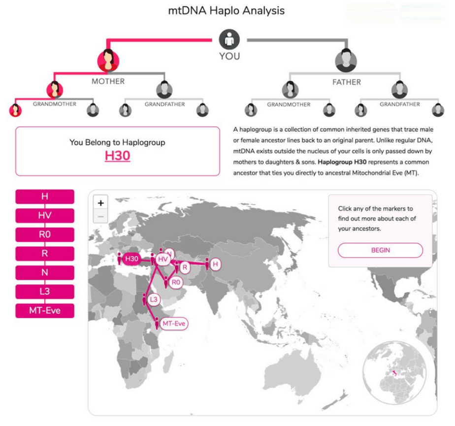 Portion of the CRI Genetics report showing family trees and a map indicating the places where the user's genes match with inhabitants of other parts of the world