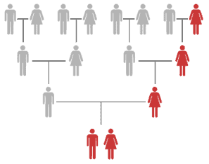 mtDNA ethnicity test for both males and females