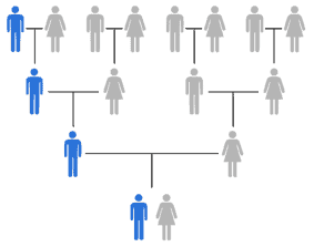 Y DNA ethnicity test for males