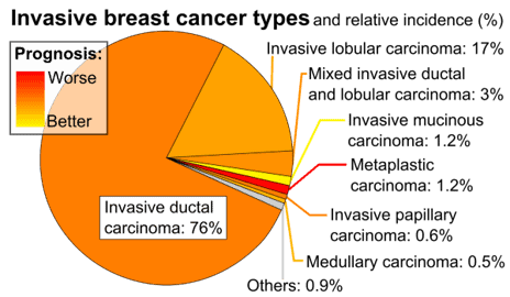 What is Genetic Testing for Breast Cancer? Learn More in our Review!