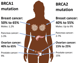 BRCA1 and BRCA 2 mutations