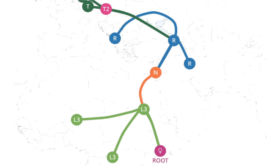 Diagrama das possíveis rotas de migração dos antepassados de um utilizador de amostra através da África, Europa e Ásia