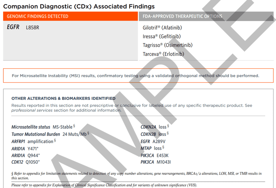 Foundation Medicine review 7 facts you should know [DEC 2021]