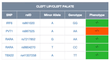 Sample table for LiveWello cleft lip/cleft palate