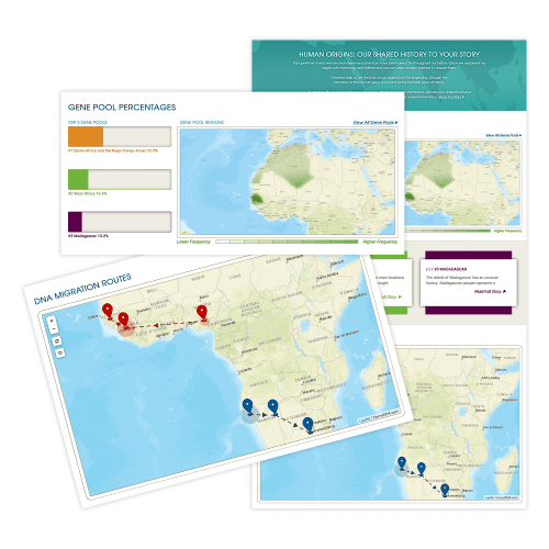 African edition sample results