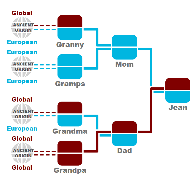 Allele inheritance from grandparents to grandchild