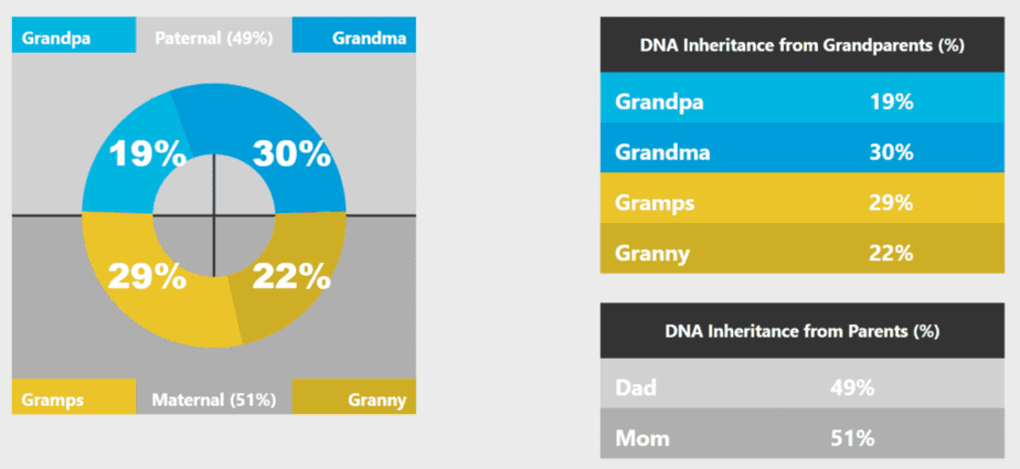 Sample grandparent breakdown from Gene Heritage