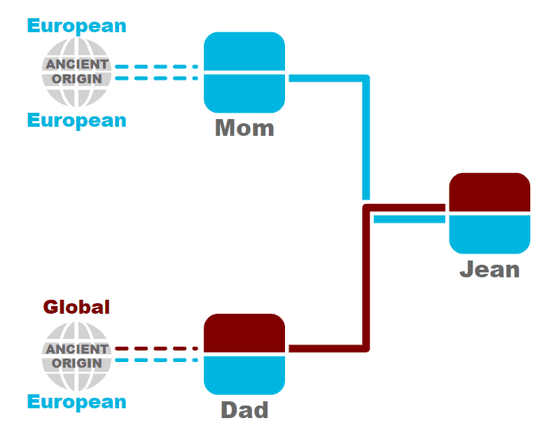 Allele inheritance from parents to child