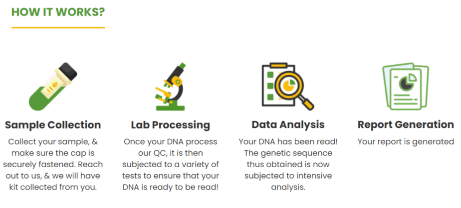 Taking a mapmygenome test