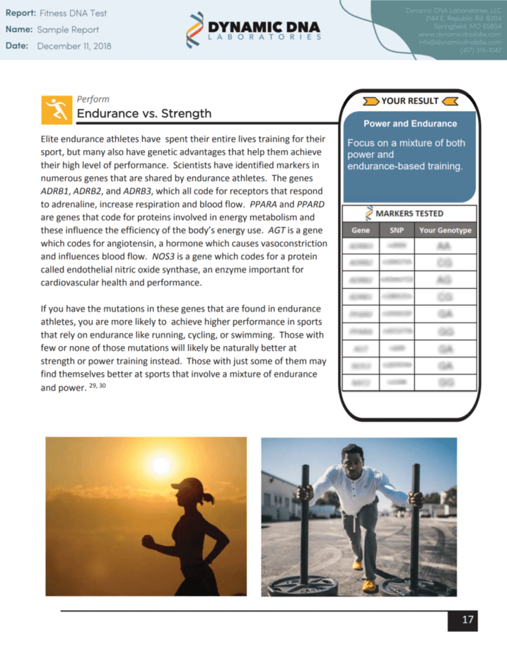 Sample of an Endurance vs. Strength section of a Dynamic DNA report